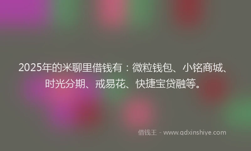 2025年的米聊里借钱有：微粒钱包、小铭商城、时光分期、戒易花、快捷宝贷融等。