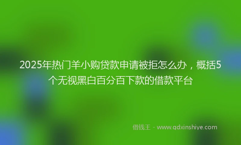 2025年热门羊小购贷款申请被拒怎么办，概括5个无视黑白百分百下款的借款平台