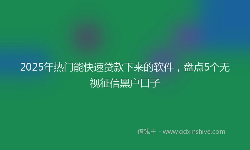 2025年热门能快速贷款下来的软件，盘点5个无视征信黑户口子