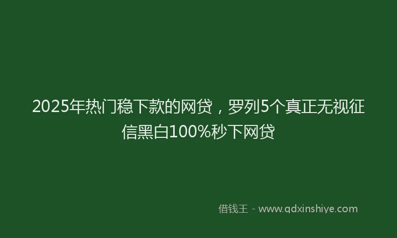 2025年热门稳下款的网贷，罗列5个真正无视征信黑白100%秒下网贷