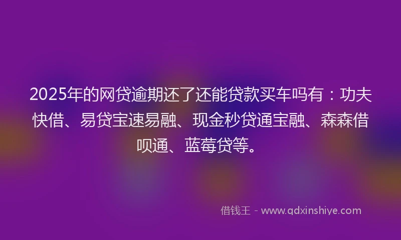 2025年的网贷逾期还了还能贷款买车吗有：功夫快借、易贷宝速易融、现金秒贷通宝融、森森借呗通、蓝莓贷等。
