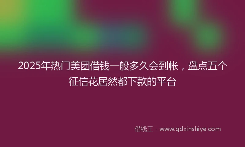 2025年热门美团借钱一般多久会到帐，盘点五个征信花居然都下款的平台