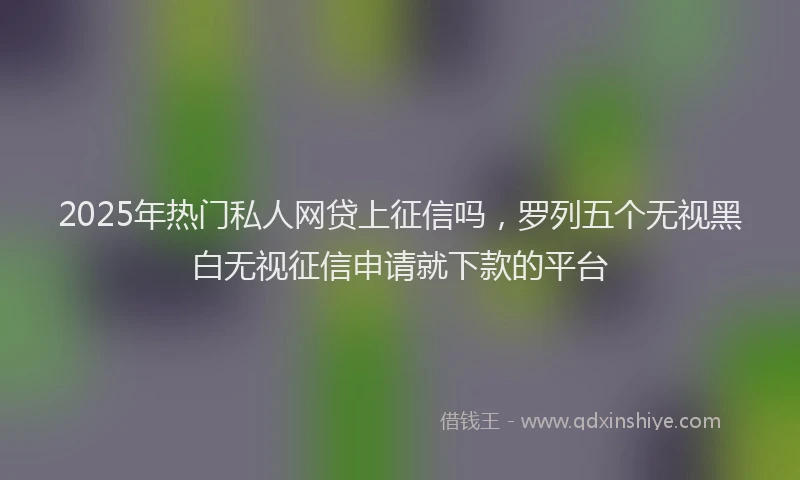 2025年热门私人网贷上征信吗，罗列五个无视黑白无视征信申请就下款的平台