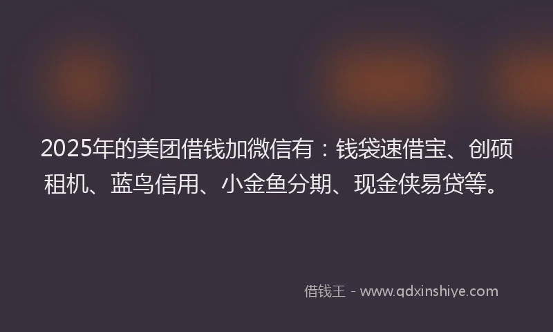 2025年的美团借钱加微信有:钱袋速借宝、创硕租机、蓝鸟信用、小金鱼分期、现金侠易贷等。