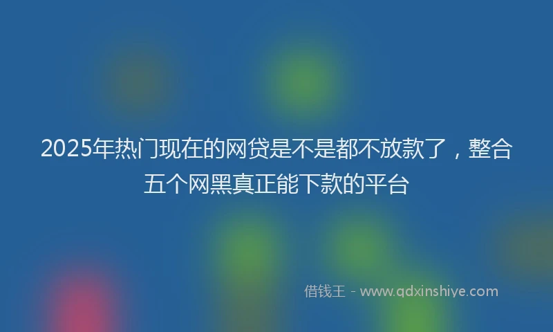 2025年热门现在的网贷是不是都不放款了，整合五个网黑真正能下款的平台