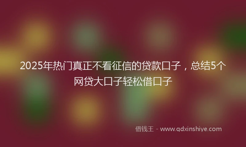 2025年热门真正不看征信的贷款口子，总结5个网贷大口子轻松借口子