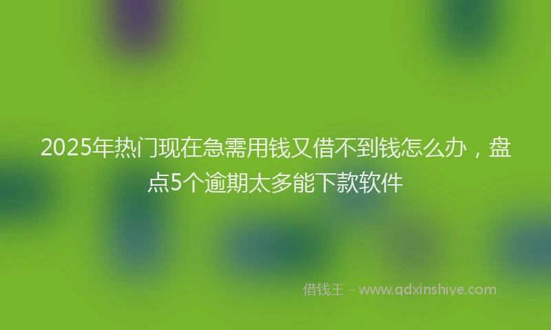 2025年热门现在急需用钱又借不到钱怎么办，盘点5个逾期太多能下款软件