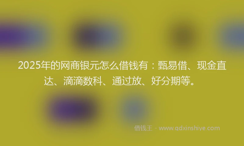 2025年的网商银元怎么借钱有：甄易借、现金直达、滴滴数科、通过放、好分期等。