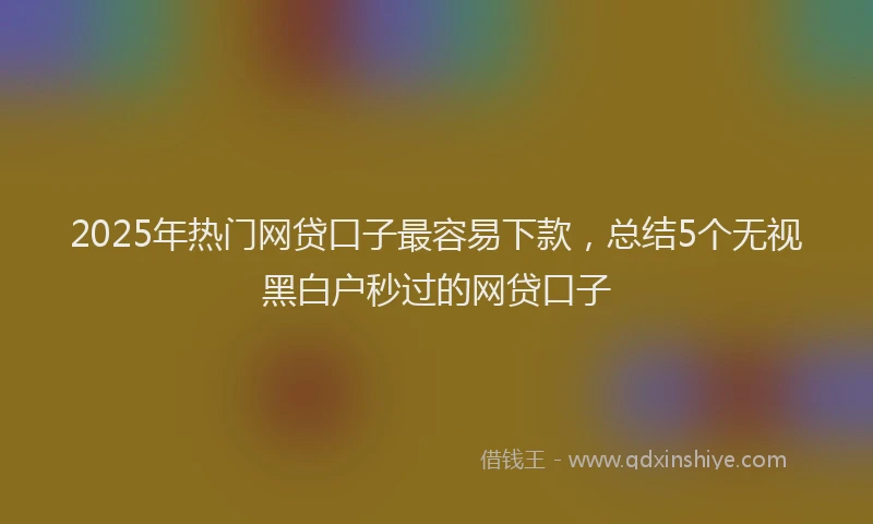 2025年热门网贷口子最容易下款，总结5个无视黑白户秒过的网贷口子