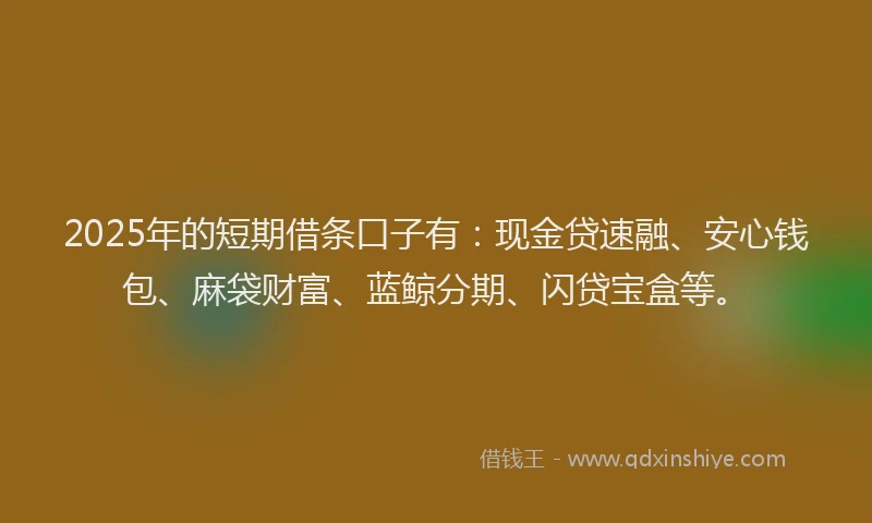 2025年的短期借条口子有：现金贷速融、安心钱包、麻袋财富、蓝鲸分期、闪贷宝盒等。