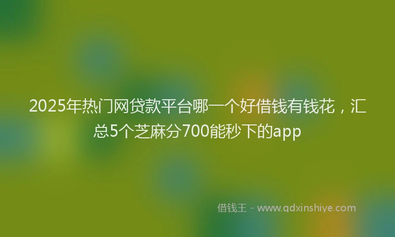 2025年热门网贷款平台哪一个好借钱有钱花，汇总5个芝麻分700能秒下的app