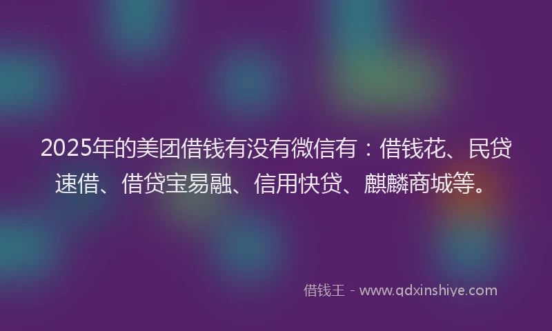 2025年的美团借钱有没有微信有：借钱花、民贷速借、借贷宝易融、信用快贷、麒麟商城等。