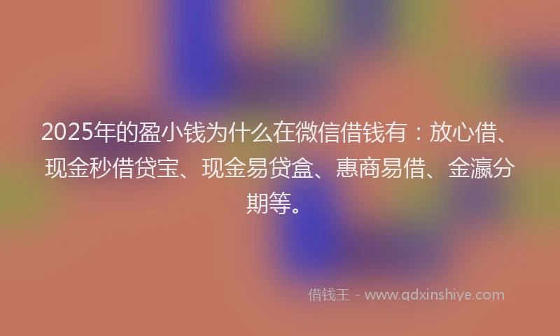 2025年的盈小钱为什么在微信借钱有：放心借、现金秒借贷宝、现金易贷盒、惠商易借、金瀛分期等。