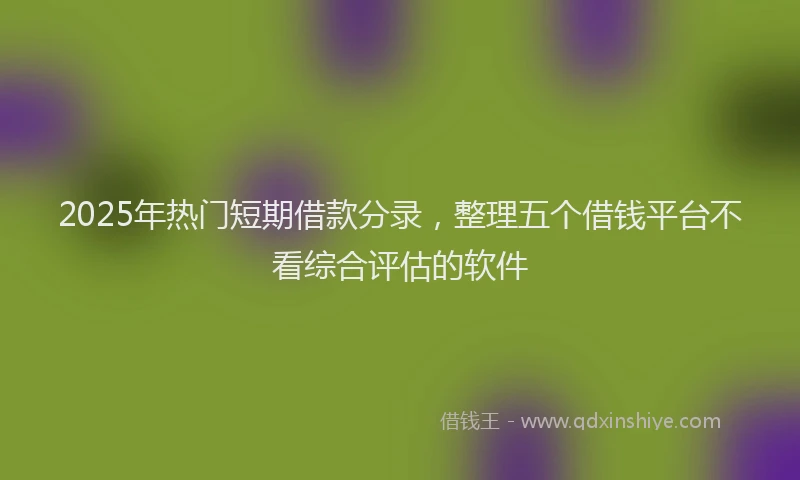 2025年热门短期借款分录，整理五个借钱平台不看综合评估的软件