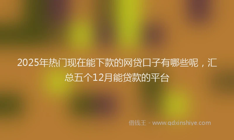 2025年热门现在能下款的网贷口子有哪些呢，汇总五个12月能贷款的平台