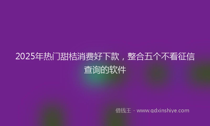 2025年热门甜桔消费好下款，整合五个不看征信查询的软件