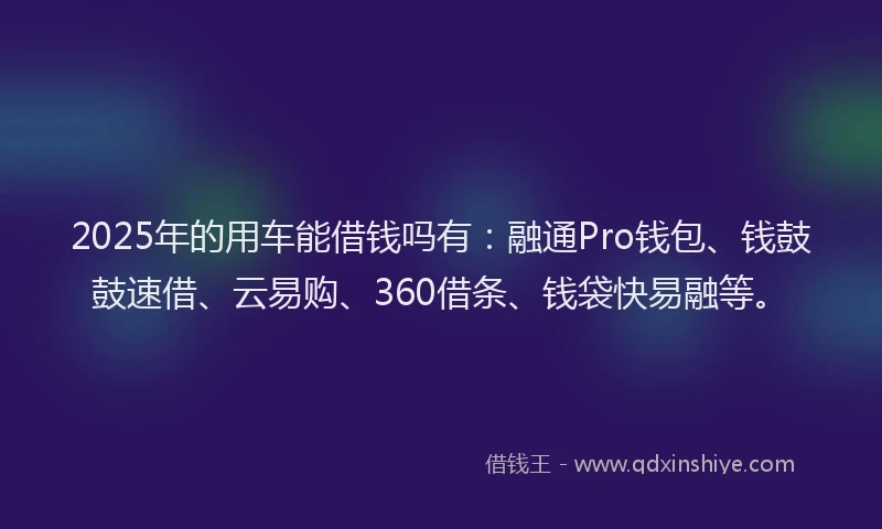 2025年的用车能借钱吗有：融通Pro钱包、钱鼓鼓速借、云易购、360借条、钱袋快易融等。