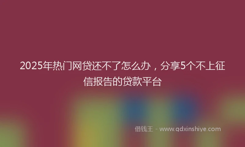 2025年热门网贷还不了怎么办,分享5个不上征信报告的贷款平台