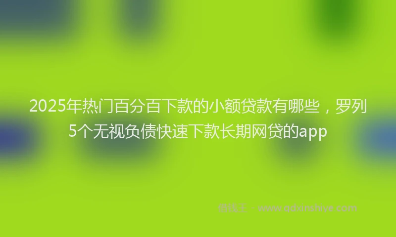 2025年热门百分百下款的小额贷款有哪些，罗列5个无视负债快速下款长期网贷的app
