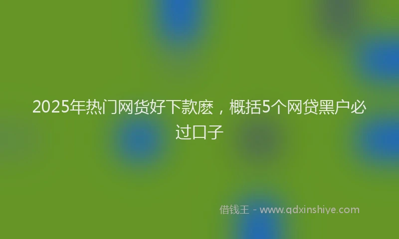2025年热门网货好下款麽，概括5个网贷黑户必过口子