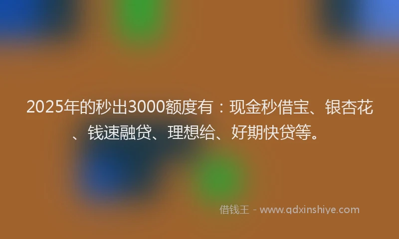 2025年的秒出3000额度有：现金秒借宝、银杏花、钱速融贷、理想给、好期快贷等。