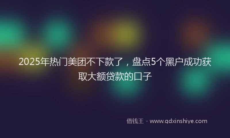 2025年热门美团不下款了，盘点5个黑户成功获取大额贷款的口子