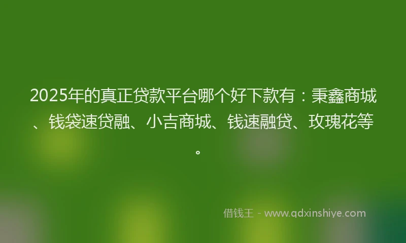 2025年的真正贷款平台哪个好下款有:秉鑫商城、钱袋速贷融、小吉商城、钱速融贷、玫瑰花等。