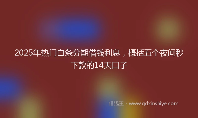 2025年热门白条分期借钱利息，概括五个夜间秒下款的14天口子