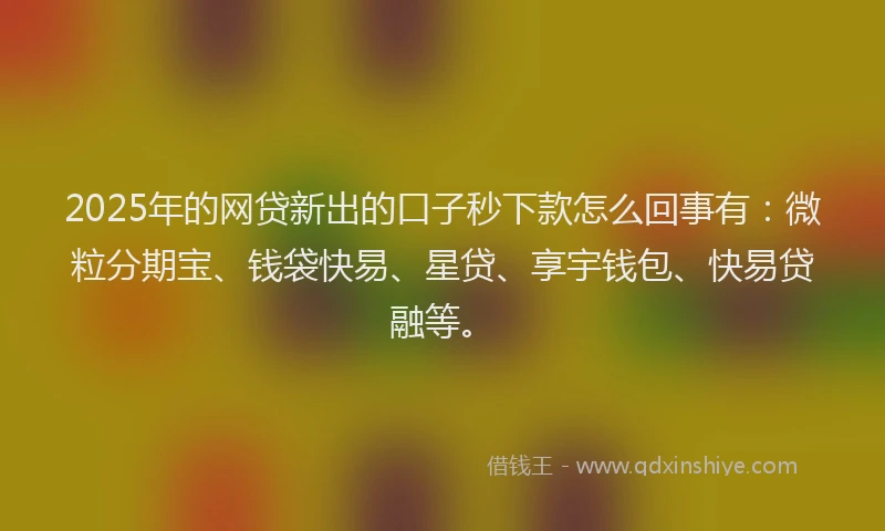 2025年的网贷新出的口子秒下款怎么回事有:微粒分期宝、钱袋快易、星贷、享宇钱包、快易贷融等。