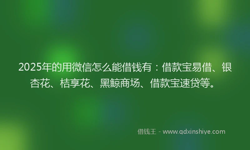 2025年的用微信怎么能借钱有：借款宝易借、银杏花、桔享花、黑鲸商场、借款宝速贷等。