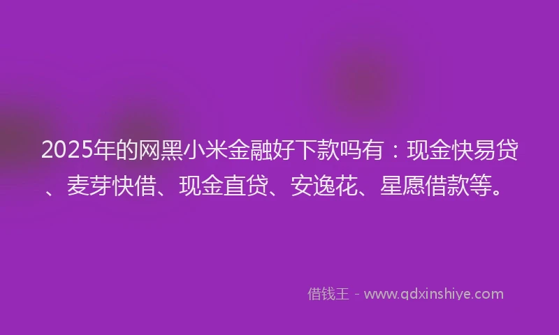 2025年的网黑小米金融好下款吗有：现金快易贷、麦芽快借、现金直贷、安逸花、星愿借款等。
