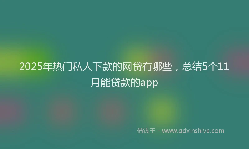 2025年热门私人下款的网贷有哪些，总结5个11月能贷款的app