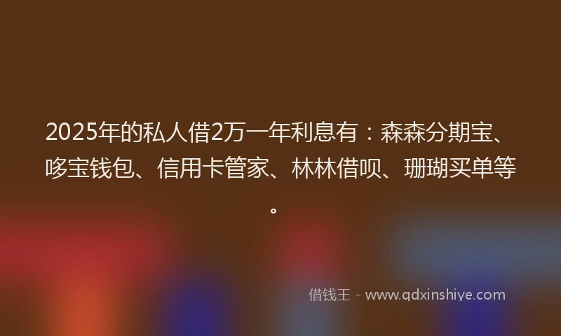 2025年的私人借2万一年利息有：森森分期宝、哆宝钱包、信用卡管家、林林借呗、珊瑚买单等。