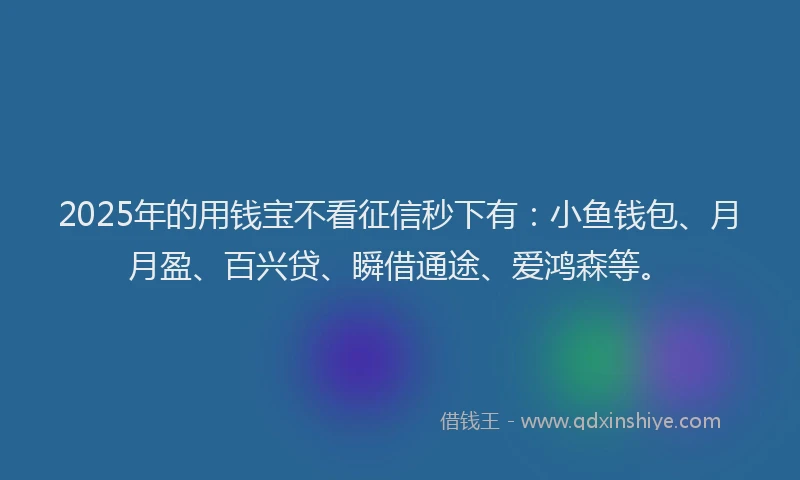 2025年的用钱宝不看征信秒下有：小鱼钱包、月月盈、百兴贷、瞬借通途、爱鸿森等。