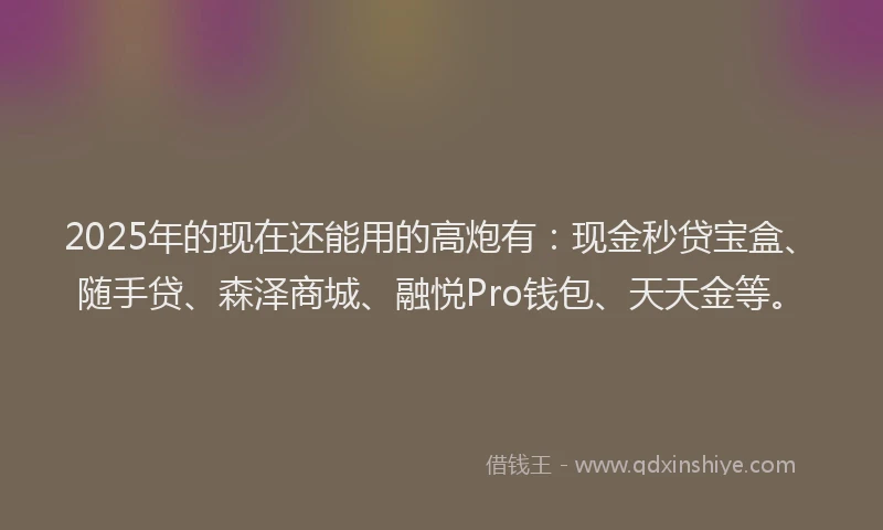 2025年的现在还能用的高炮有：现金秒贷宝盒、随手贷、森泽商城、融悦Pro钱包、天天金等。