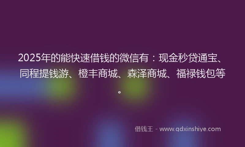 2025年的能快速借钱的微信有:现金秒贷通宝、同程提钱游、橙丰商城、森泽商城、福禄钱包等。