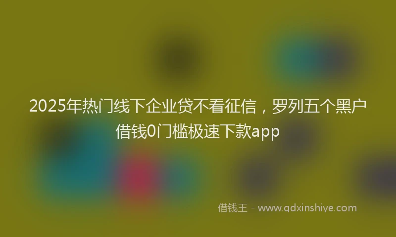 2025年热门线下企业贷不看征信，罗列五个黑户借钱0门槛极速下款app