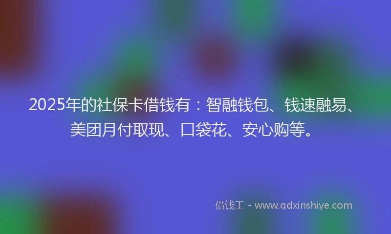 2025年的社保卡借钱有：智融钱包、钱速融易、美团月付取现、口袋花、安心购等。