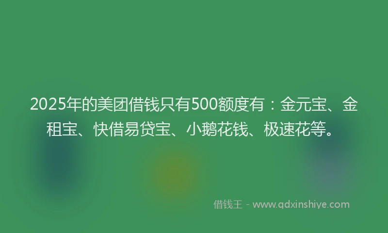 2025年的美团借钱只有500额度有:金元宝、金租宝、快借易贷宝、小鹅花钱、极速花等。