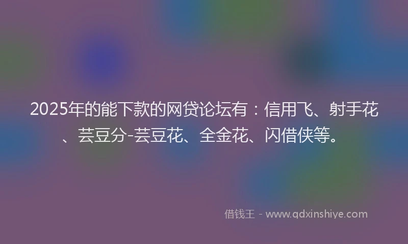 2025年的能下款的网贷论坛有：信用飞、射手花、芸豆分-芸豆花、全金花、闪借侠等。