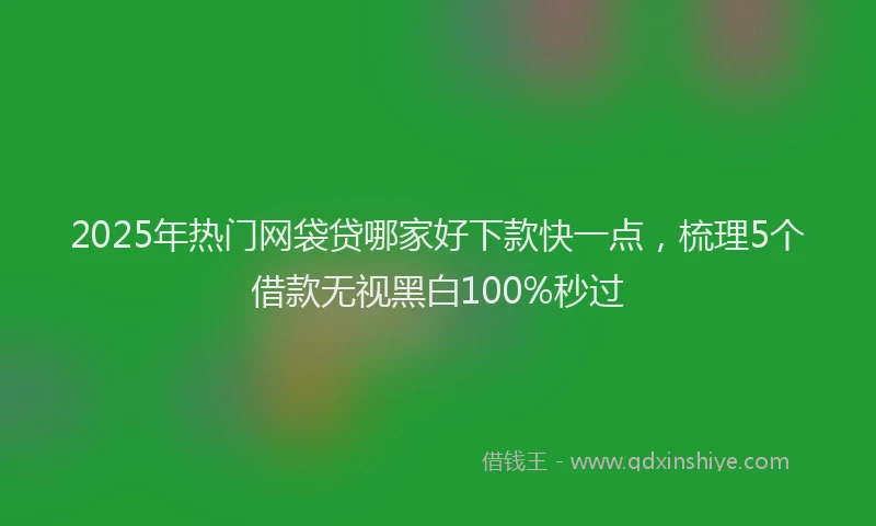2025年热门网袋贷哪家好下款快一点，梳理5个借款无视黑白100%秒过
