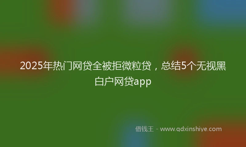 2025年热门网贷全被拒微粒贷，总结5个无视黑白户网贷app