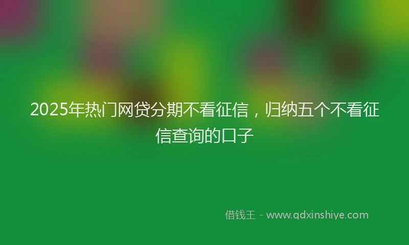2025年热门网贷分期不看征信，归纳五个不看征信查询的口子