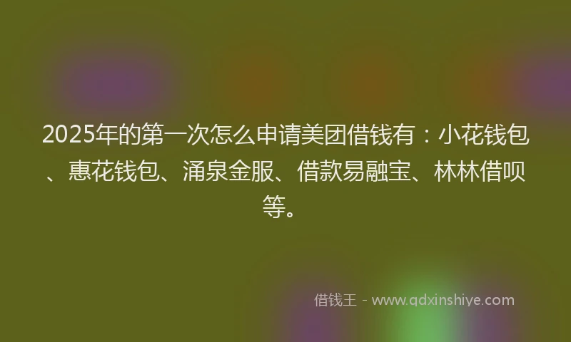 2025年的第一次怎么申请美团借钱有:小花钱包、惠花钱包、涌泉金服、借款易融宝、林林借呗等。