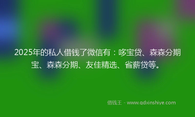 2025年的私人借钱了微信有：哆宝贷、森森分期宝、森森分期、友佳精选、省薪贷等。