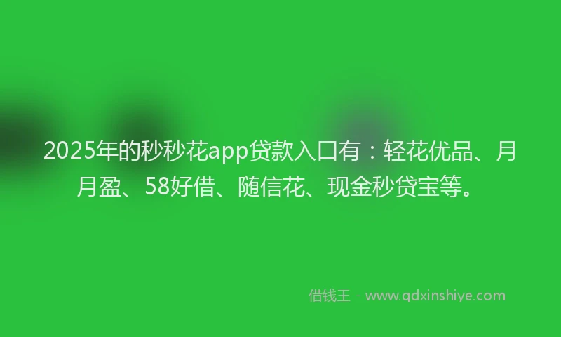 2025年的秒秒花app贷款入口有：轻花优品、月月盈、58好借、随信花、现金秒贷宝等。