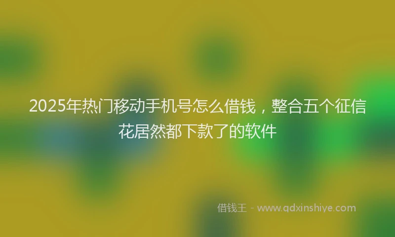 2025年热门移动手机号怎么借钱，整合五个征信花居然都下款了的软件