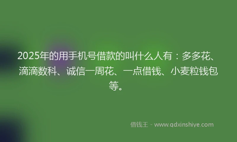 2025年的用手机号借款的叫什么人有：多多花、滴滴数科、诚信一周花、一点借钱、小麦粒钱包等。
