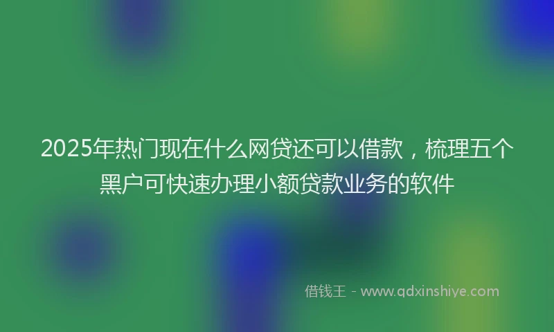 2025年热门现在什么网贷还可以借款，梳理五个黑户可快速办理小额贷款业务的软件
