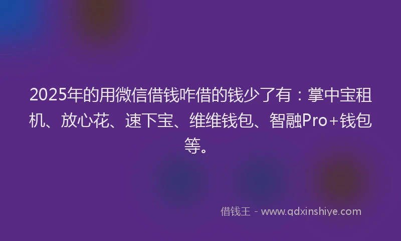 2025年的用微信借钱咋借的钱少了有：掌中宝租机、放心花、速下宝、维维钱包、智融Pro+钱包等。